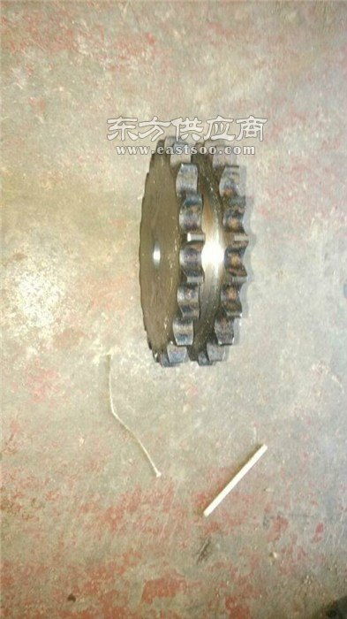 洪昌链条 不锈钢链轮介绍 辽源市不锈钢链轮图片