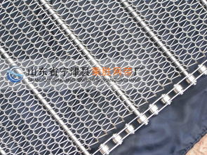 链条式输送网带价格 链条式输送网带型号规格