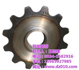 定制304不锈钢链轮与双龙网带 高清图集与专业指南